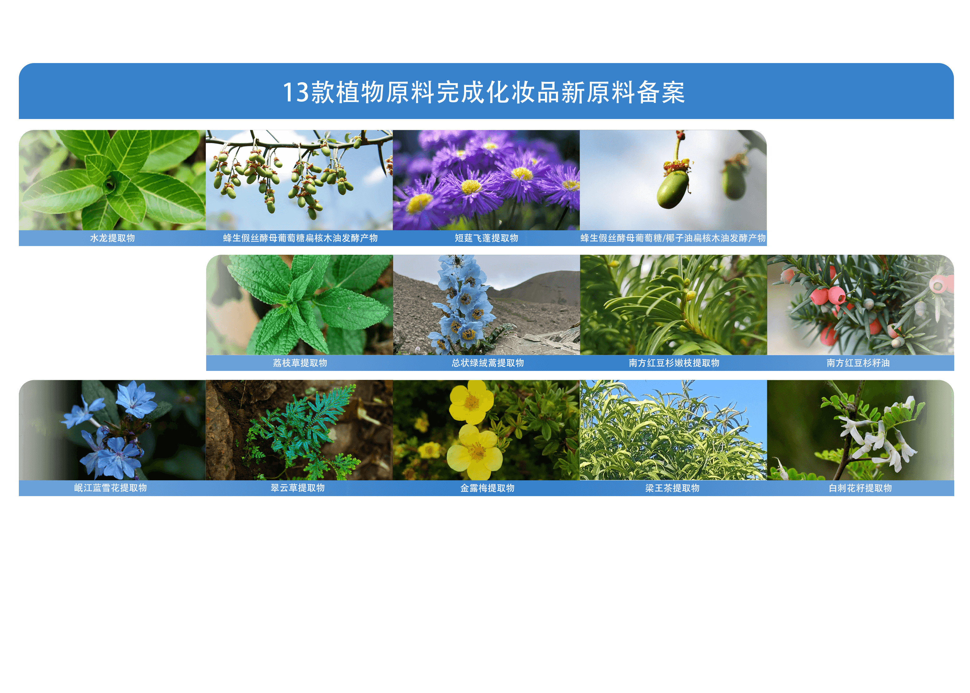 “国家名片”诞生！ 贝泰妮集团薇诺娜正式上榜工信部中国消费名品首批方阵
