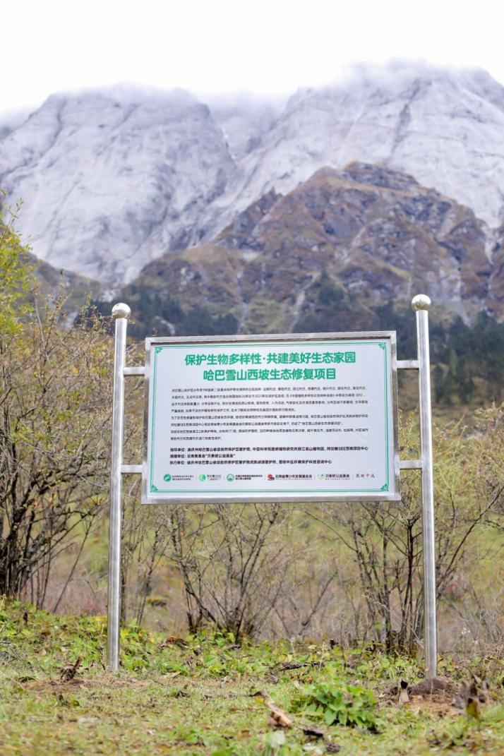 从雪山到实验室:贝泰妮用ESG实践擘画生物多样性保护的“中国方案”
